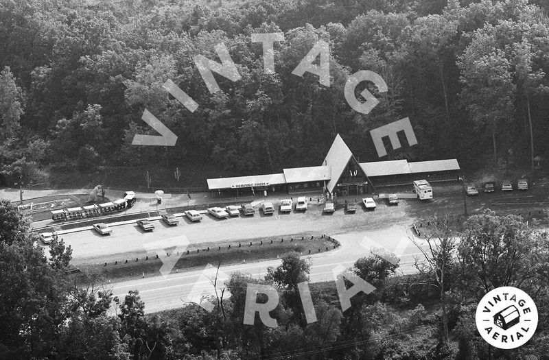 Prehistoric Forest - Aerial From 1970S